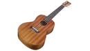 Charger l'image dans la galerie, Cordoba PROTEGE UP100 Concert Ukulele Pack (Natural)