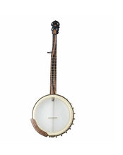 Charger l'image dans la galerie, DEERING VEGA® VINTAGE STAR 5 STRING BANJO