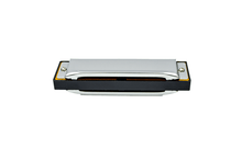 Charger l'image dans la galerie, Harmonica 10 trous avec étui - Noir