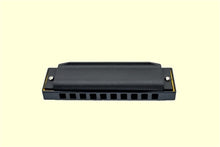 Charger l'image dans la galerie, Harmonica 10 trous avec étui - Noir